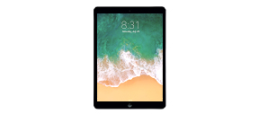 iPad 5